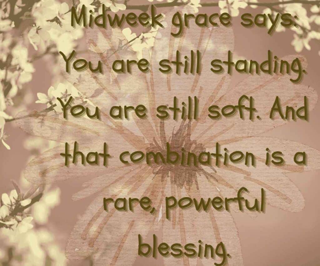 Wednesday Morning Prayers