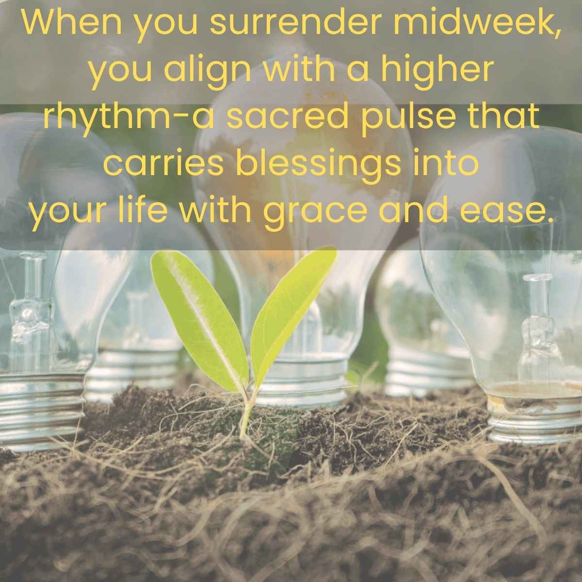 Wednesday Morning Prayers
