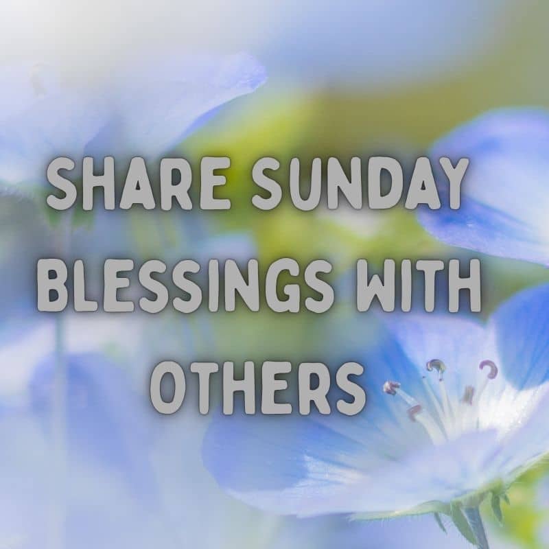Sunday Blessings