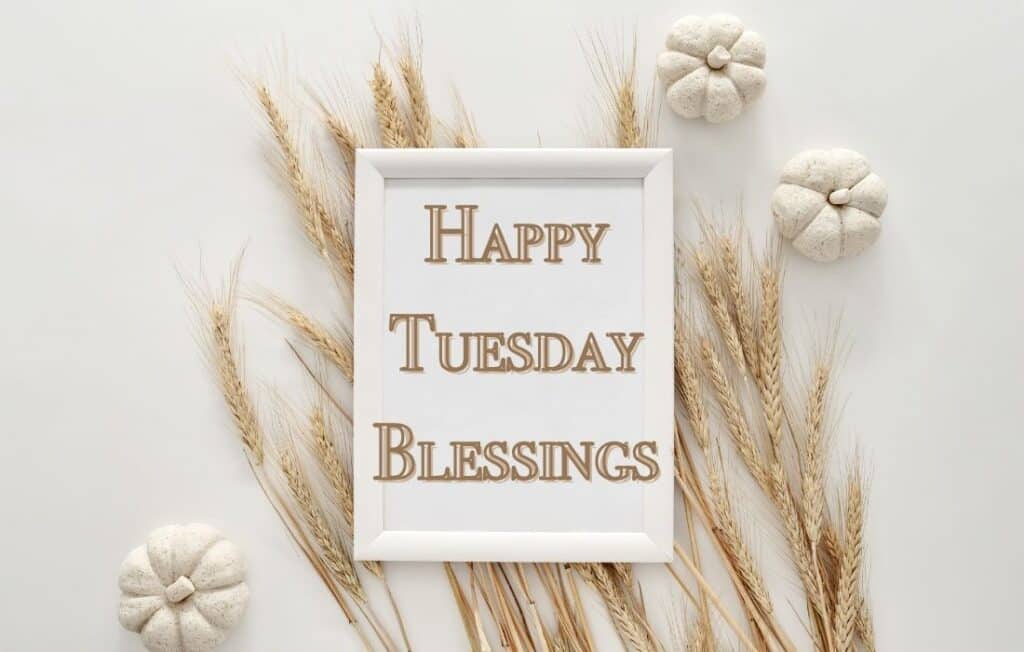 Tuesday Blessings and Quotes