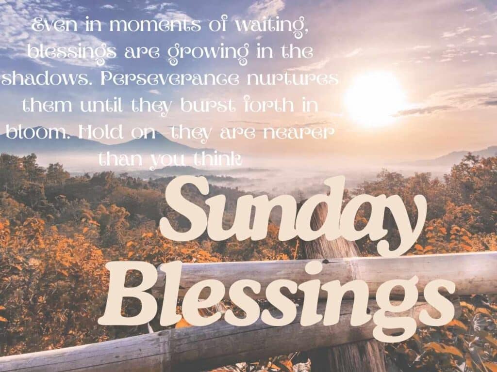 Sunday Morning