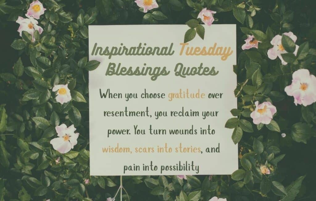 Tuesday Blessings and Quotes