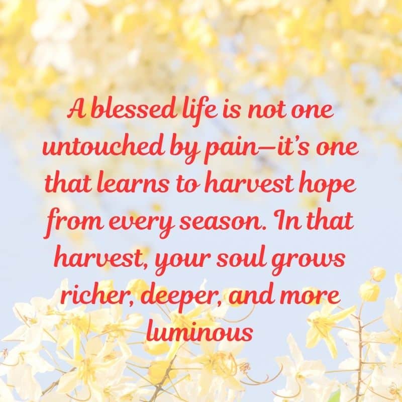 Tuesday Blessings and Quotes