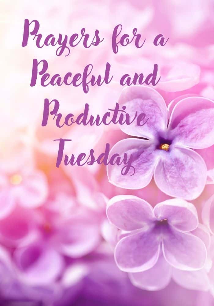 Good Morning Tuesday Blessings