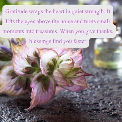 Beautiful Blessings 