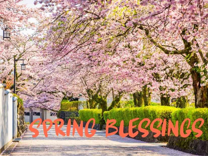 Spring Prayers