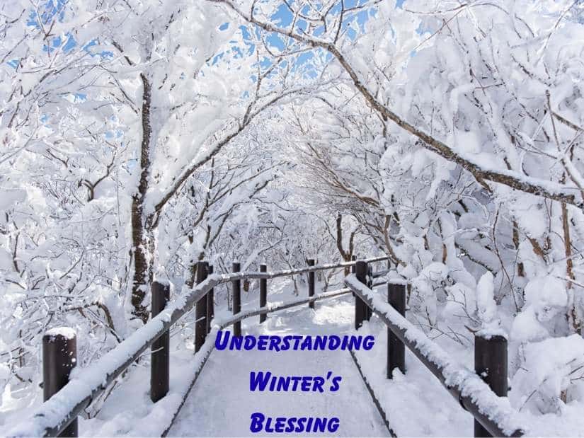 Winter Blessings and Quotes 