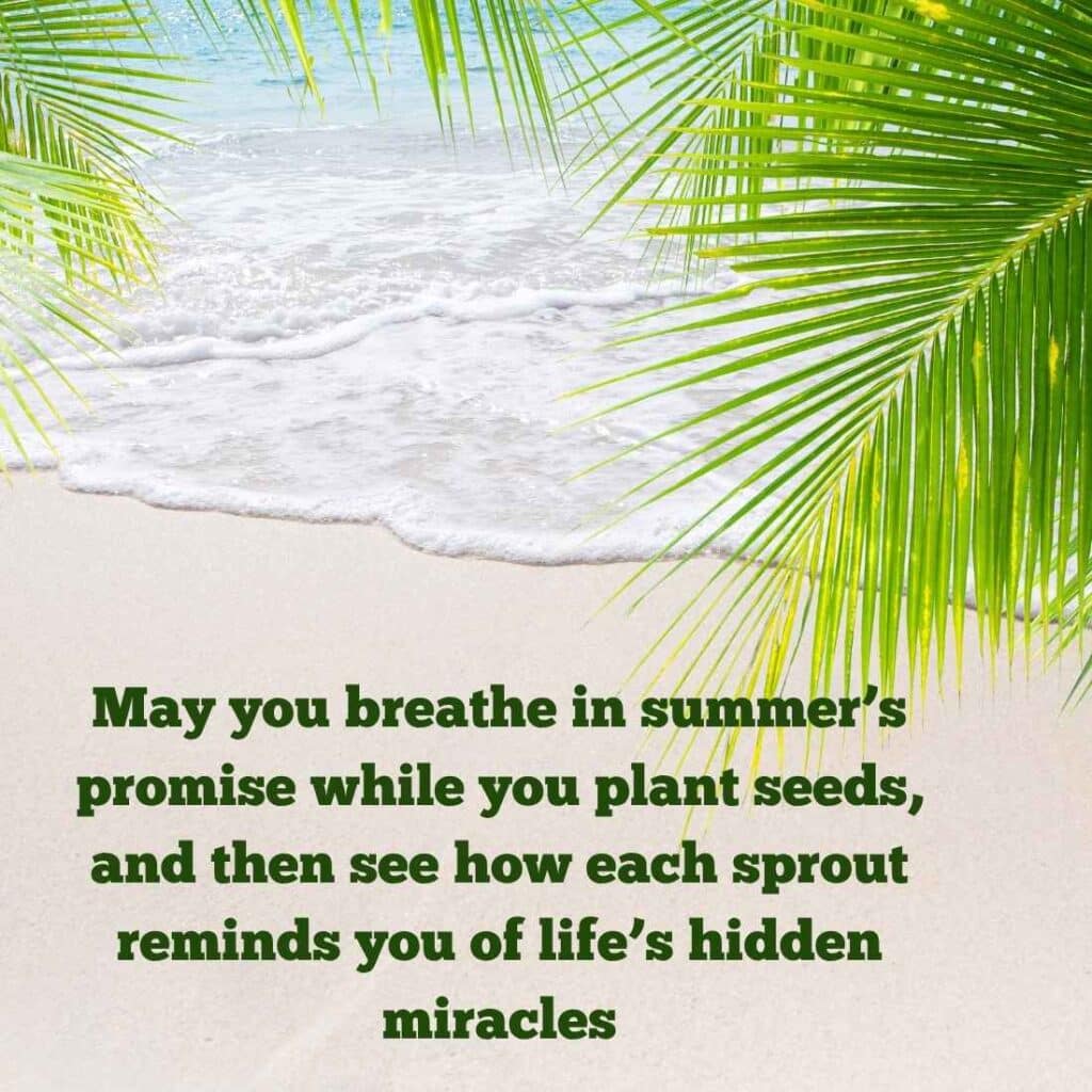 Summer Blessings