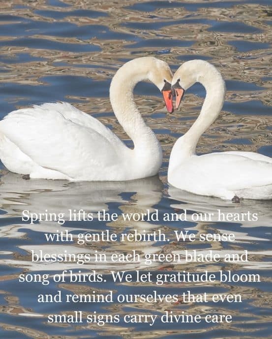 Spring Prayers