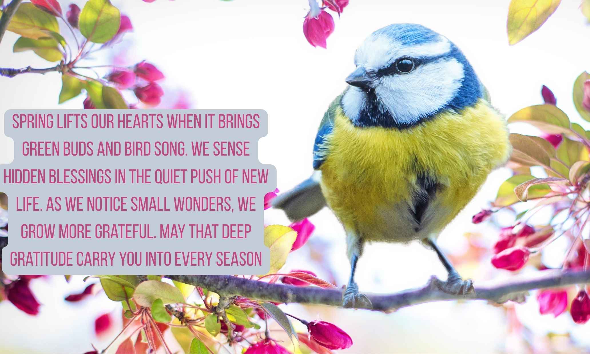 Spring Prayers