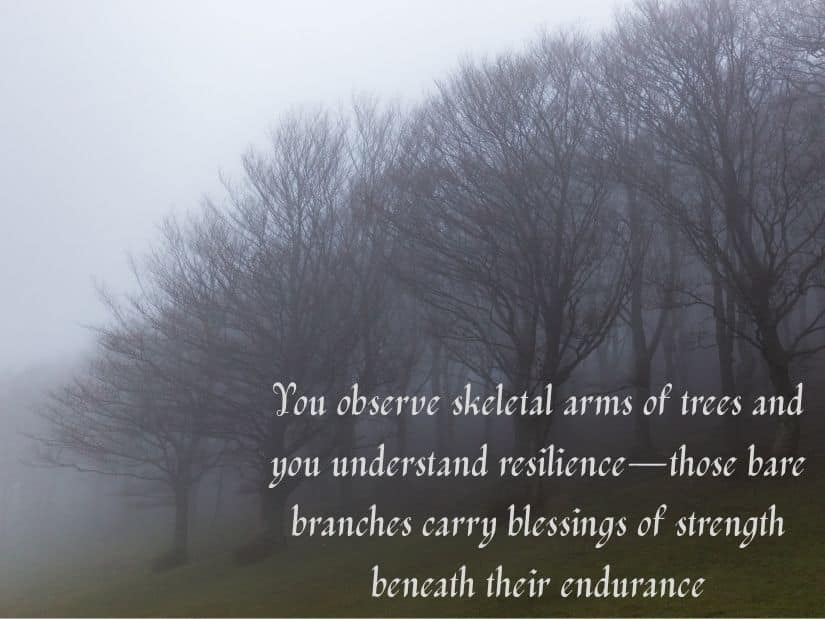 Winter Blessings and Quotes 