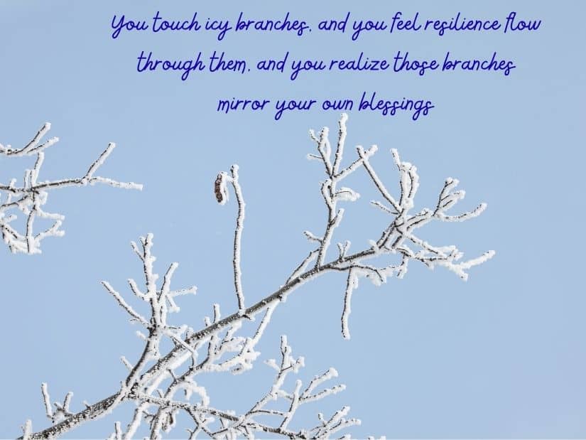 Winter Blessings and Quotes 