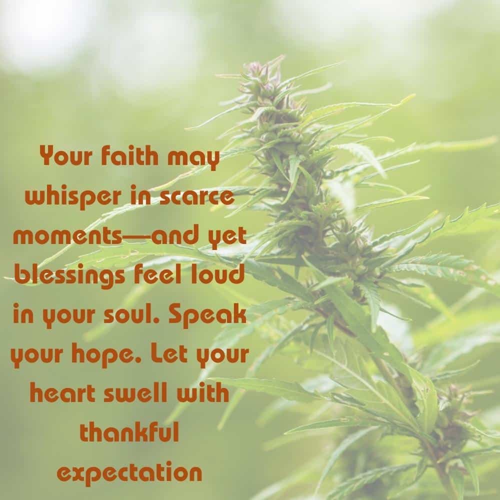 Lammas Blessings