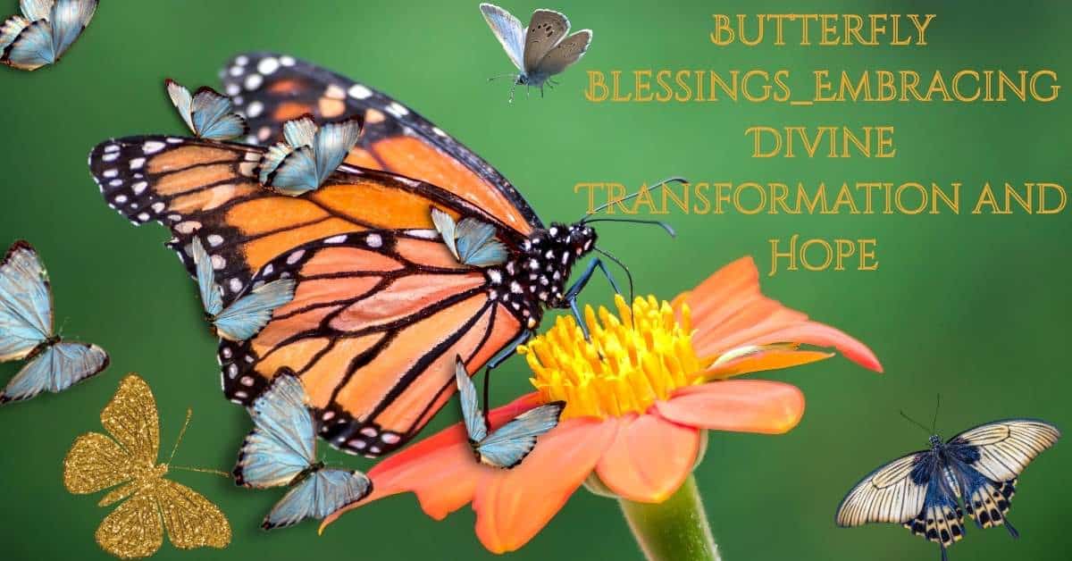 Butterfly Blessings