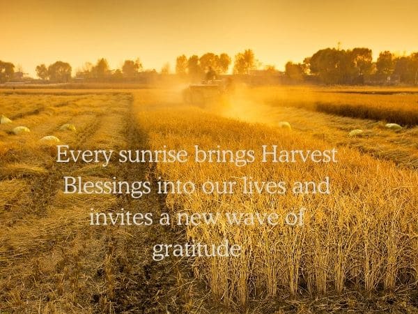 Harvest Blessings