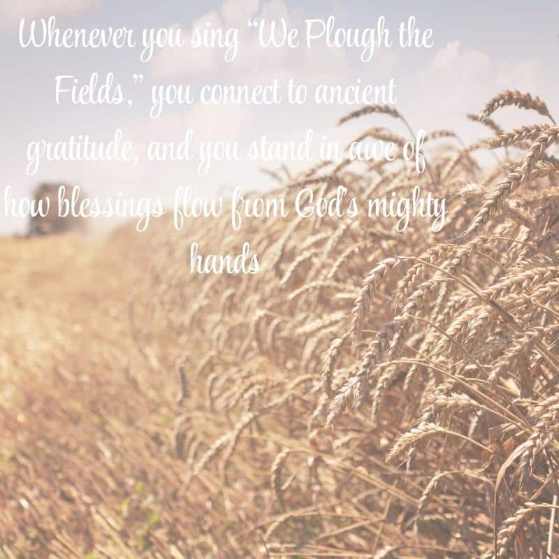 Harvest Blessings
