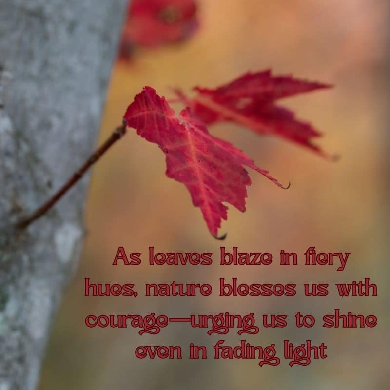Autumn Blessings