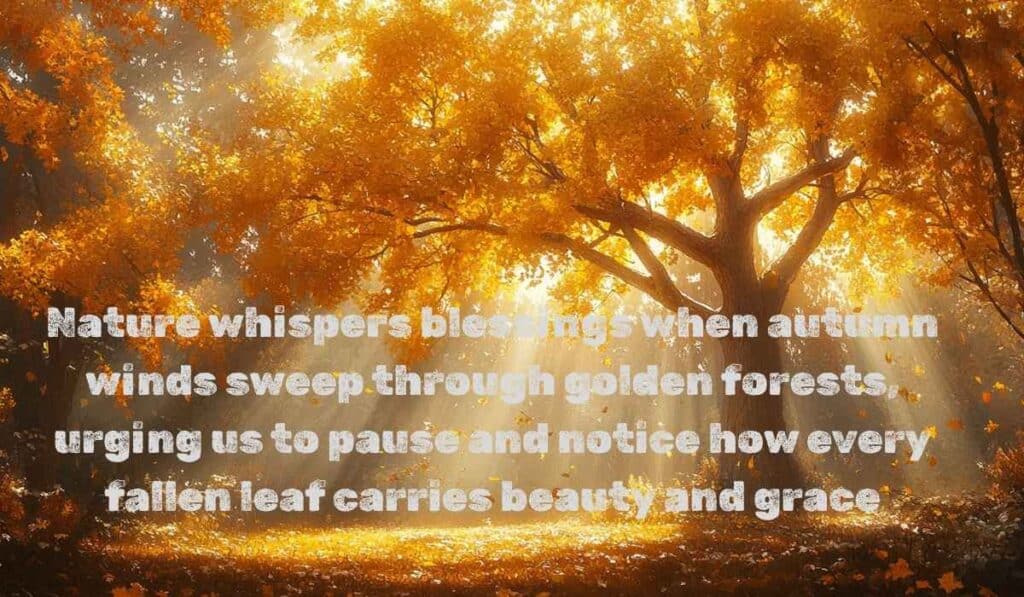 Autumn Blessings