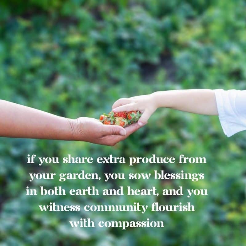 Harvest Blessings
