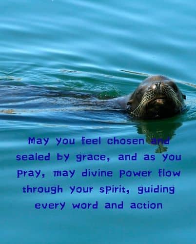 Everyday Blessings