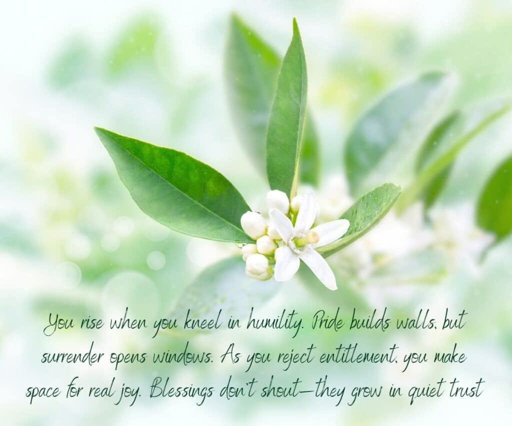 Biblical Blessings 