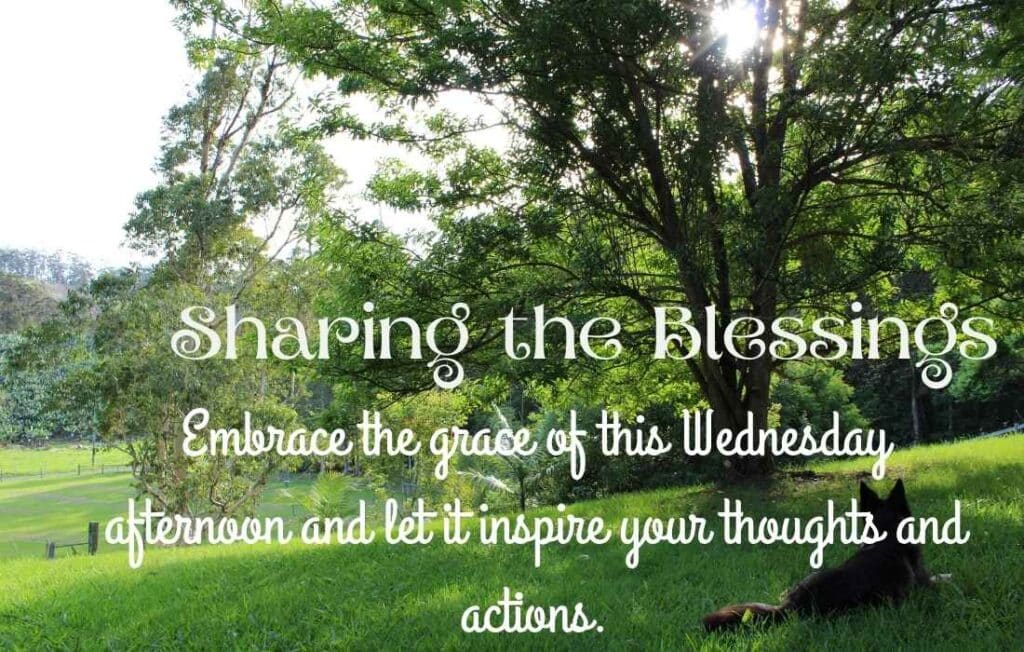 Good Afternoon Wednesday Blessings