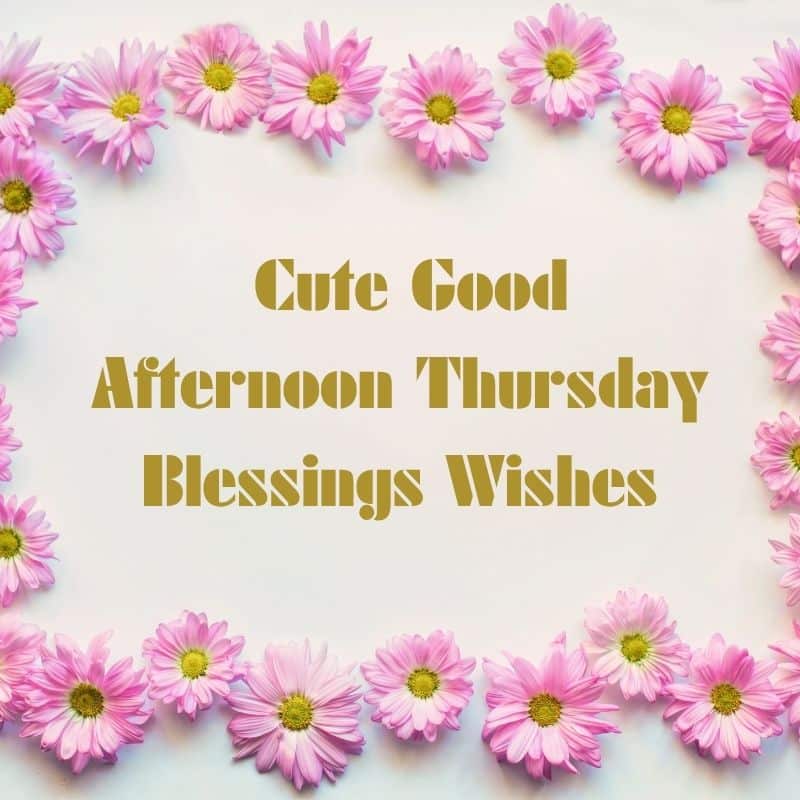 Good Afternoon Thursday Blessings 