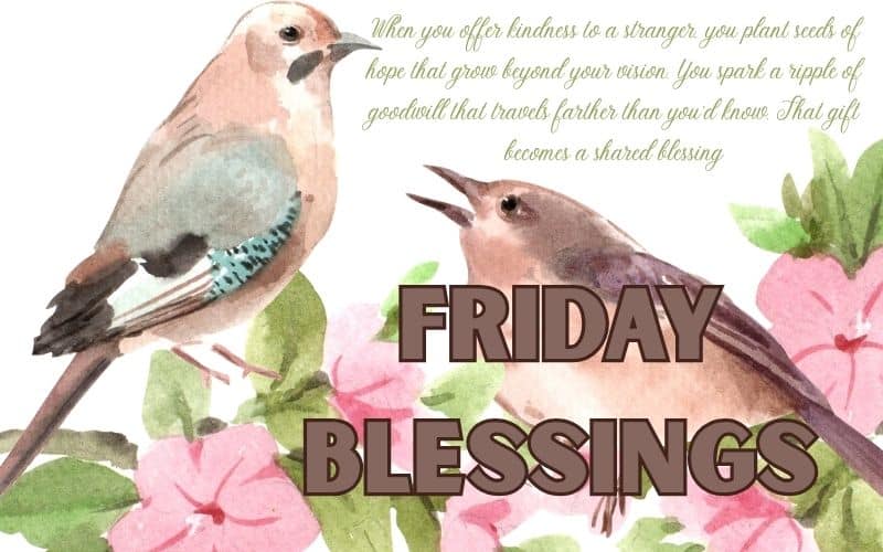 Friday’s Blessings