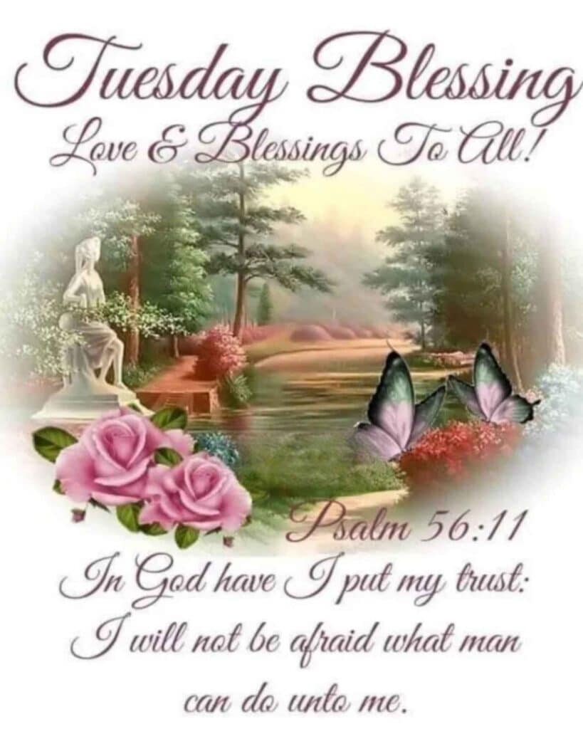 Good Morning Tuesday Blessings, 