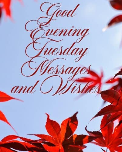 Good Evening Tuesday Blessings 