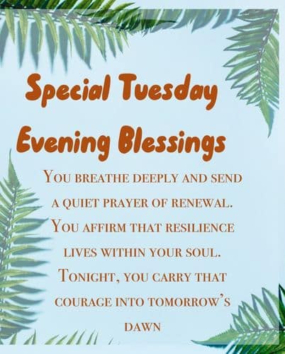 Good Evening Tuesday Blessings 