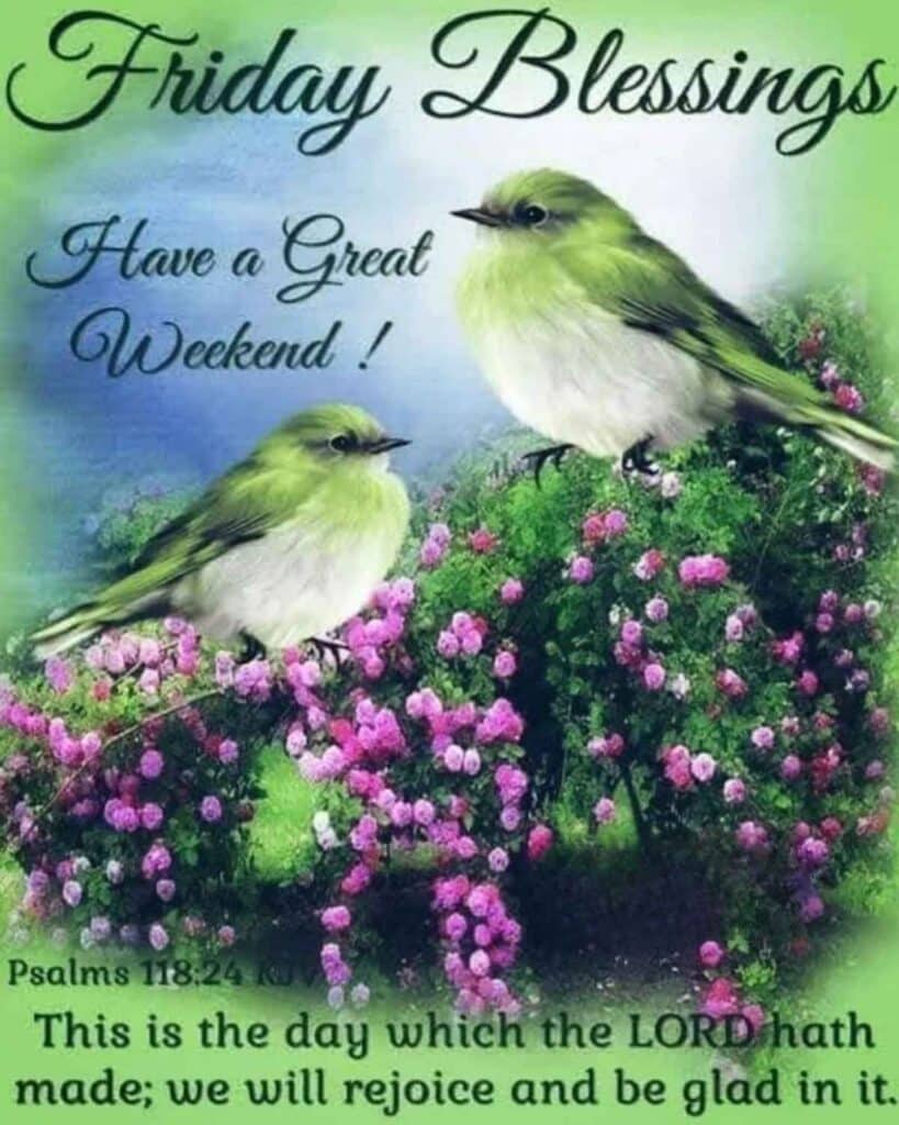Friday’s Blessings