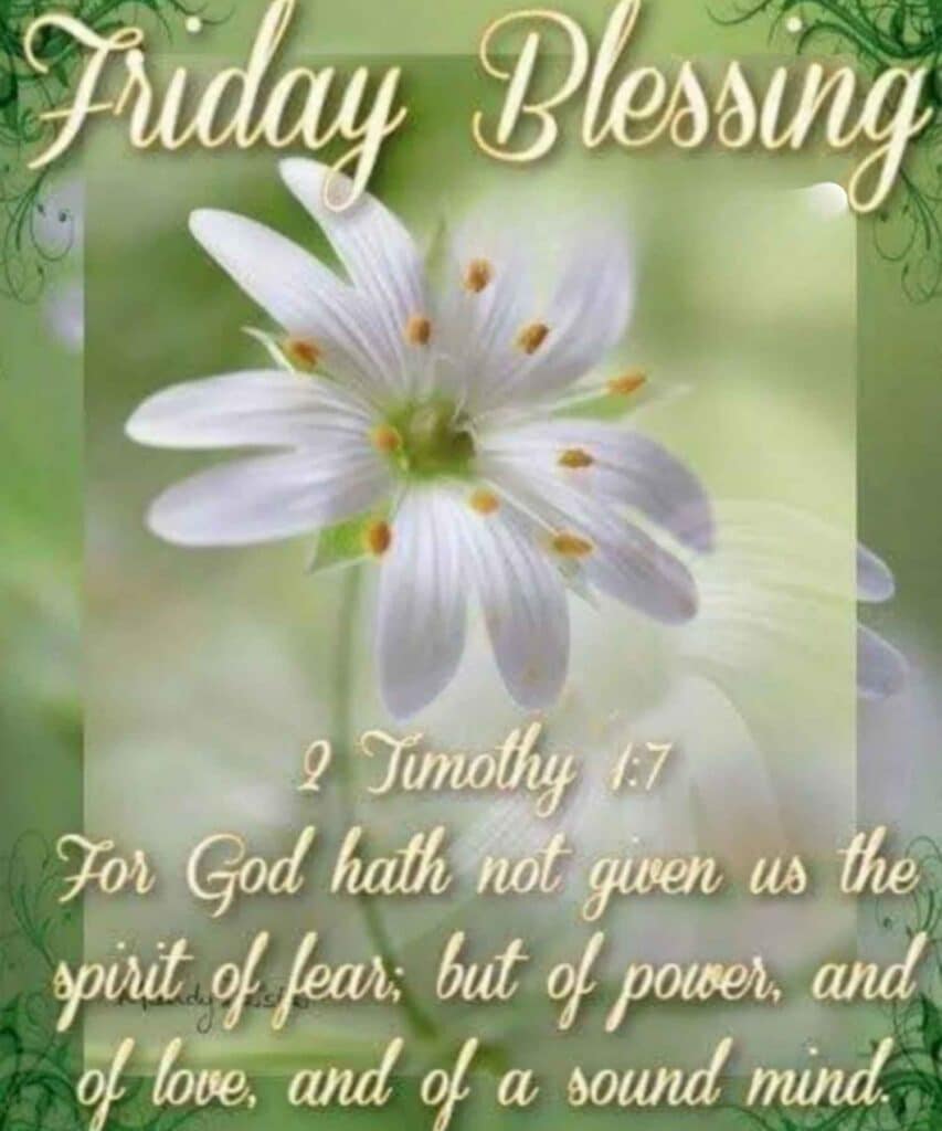 Friday’s Blessings