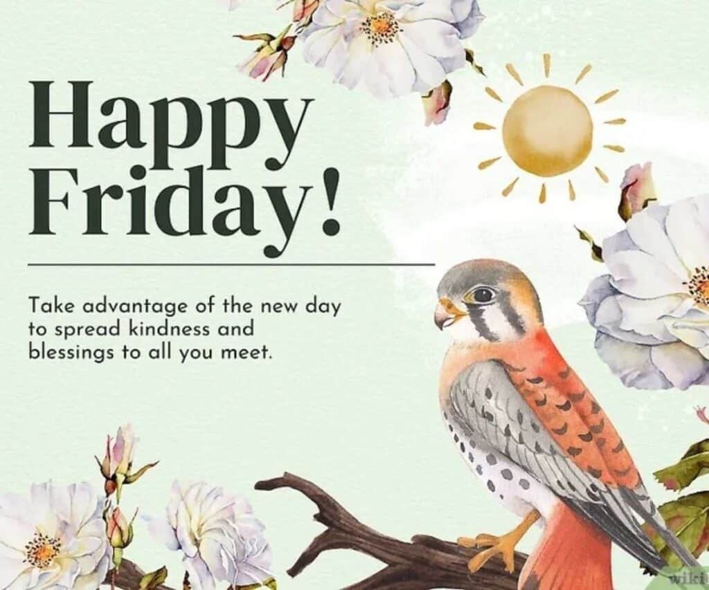 Friday’s Blessings