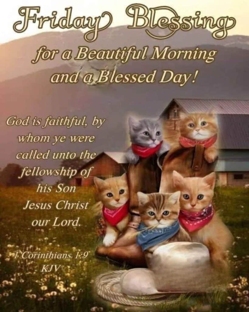 Friday’s Blessings