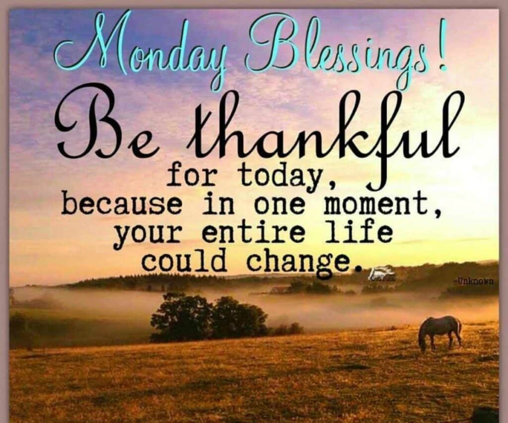 Thankful Monday Blessings