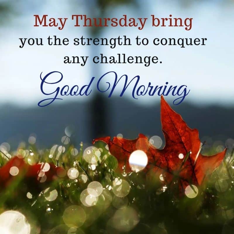 Thursday Blessings