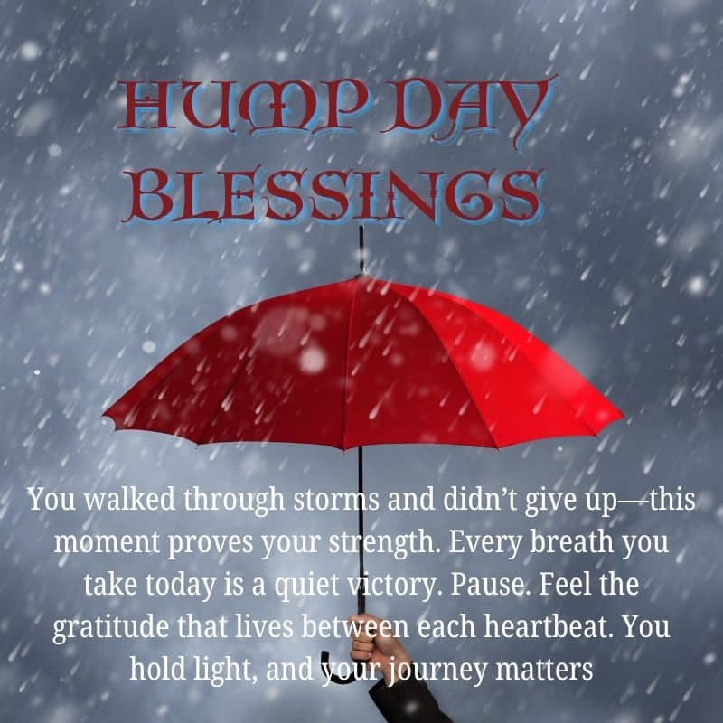 Hump Day Blessings