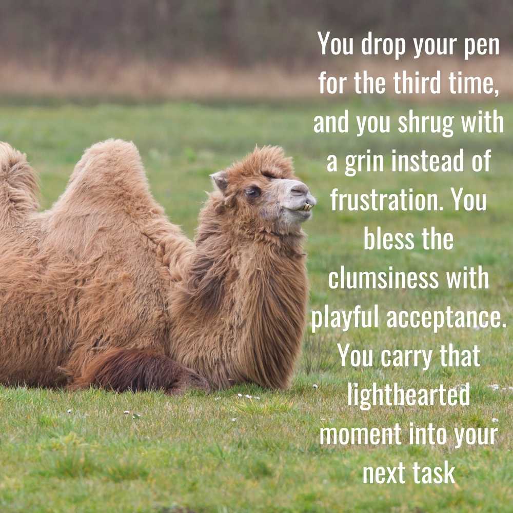 Hump Day Blessings