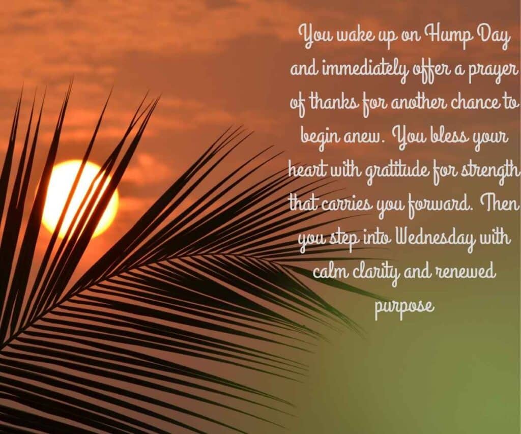 Hump Day Blessings