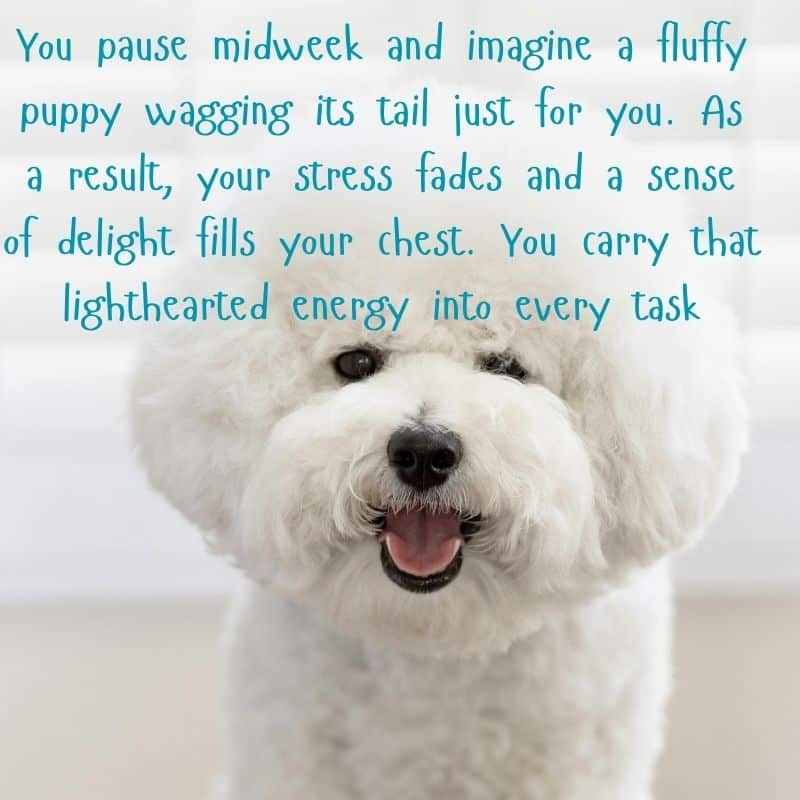 Hump Day Blessings