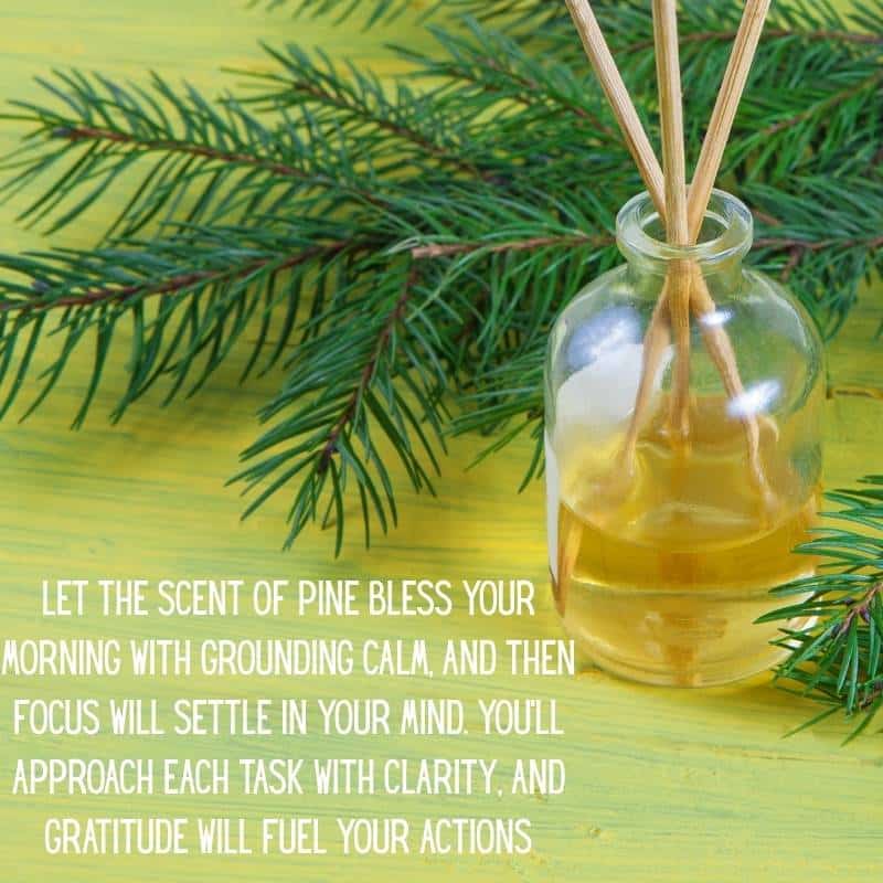Yuletide Blessings