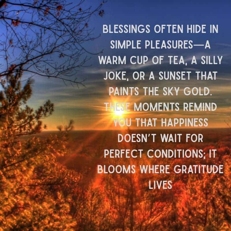 Good Afternoon Friday Blessings