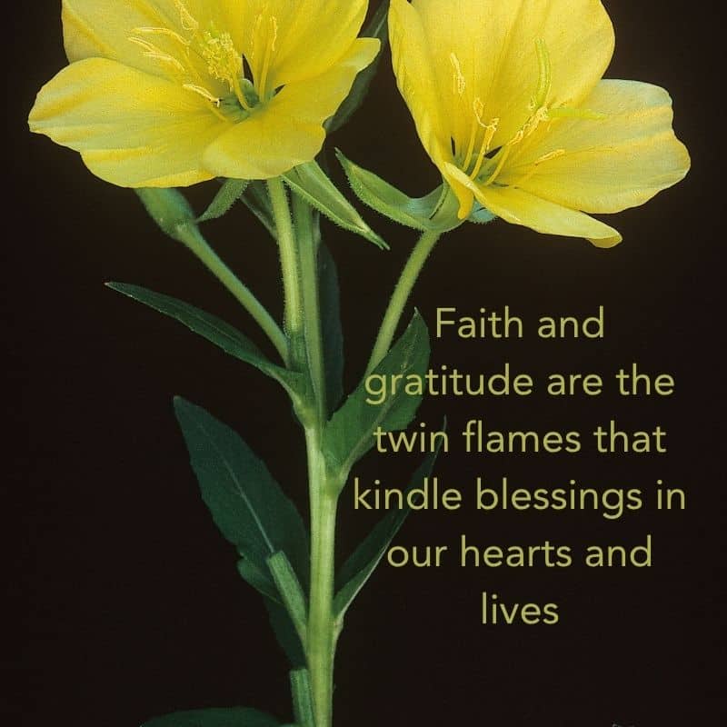 Monday Evening Blessings 