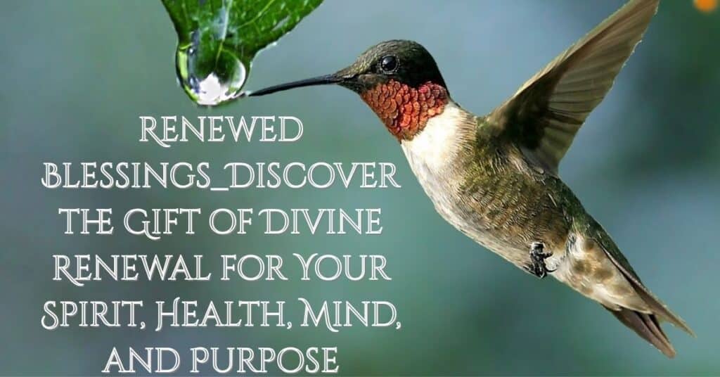 Renewed Blessings