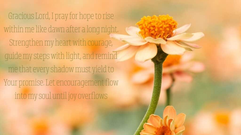 Thank You for Your Prayers 