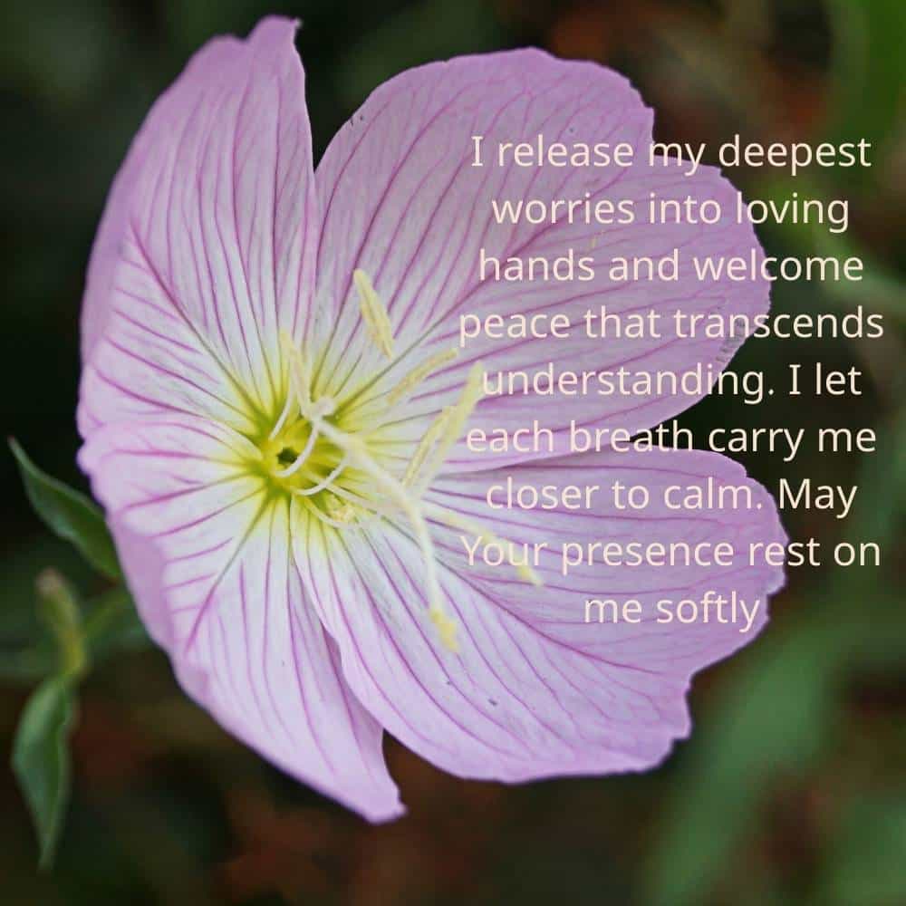 Evening Prayers
