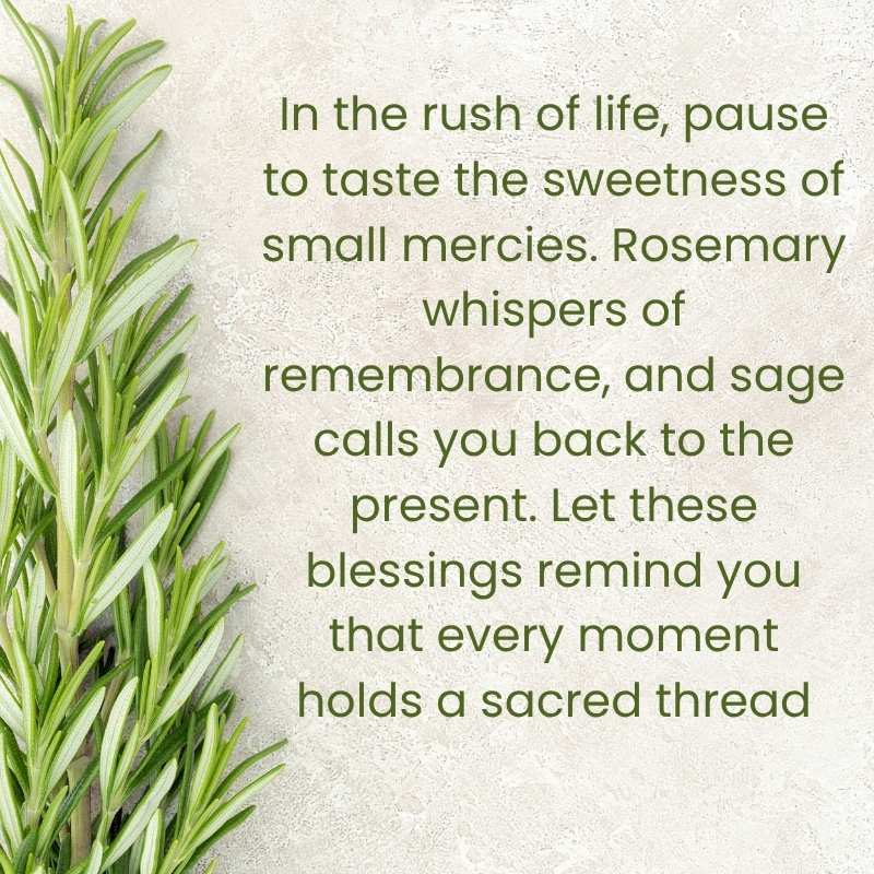 Herbal Blessings