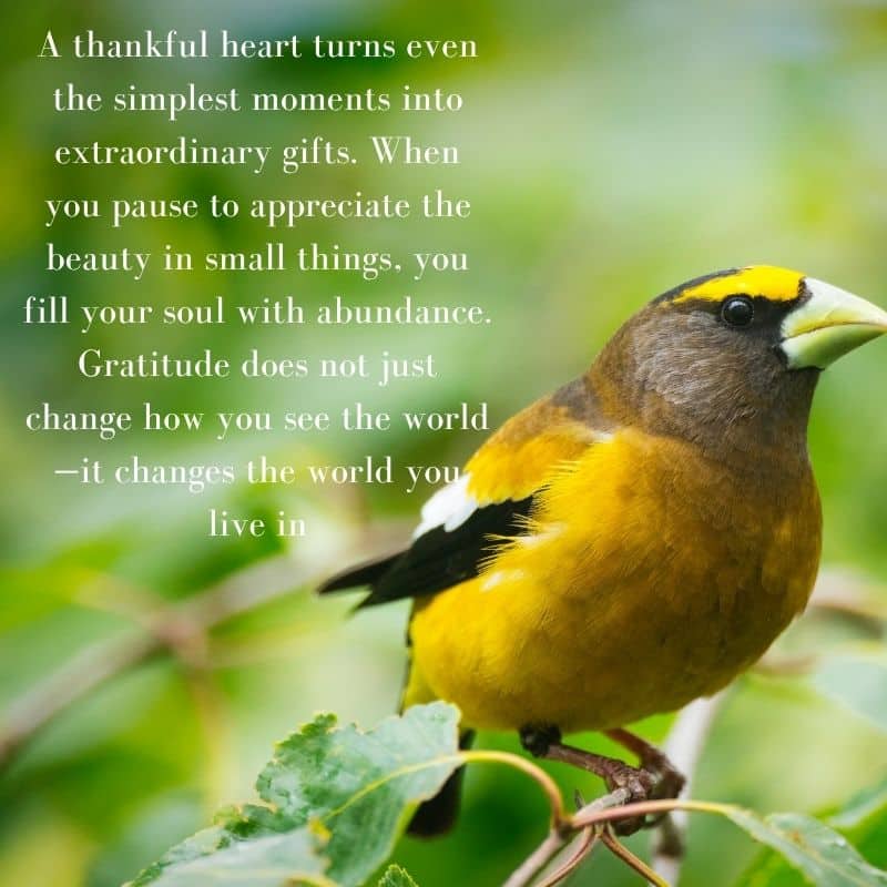 Good Evening Sunday Blessings