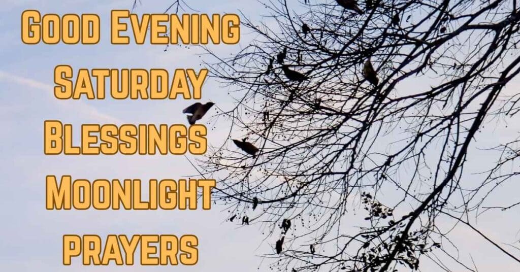 Good Evening Saturday Blessings